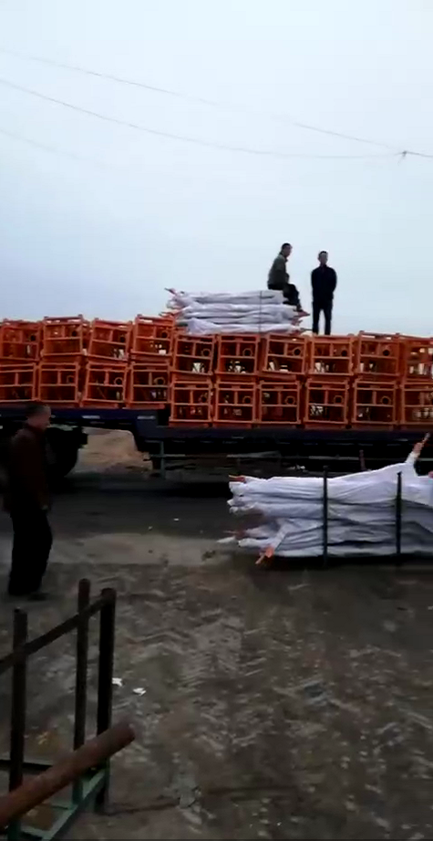室外吊運機
